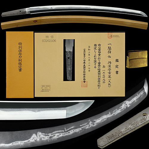 Mishina Yoshimichi — 1 of 3