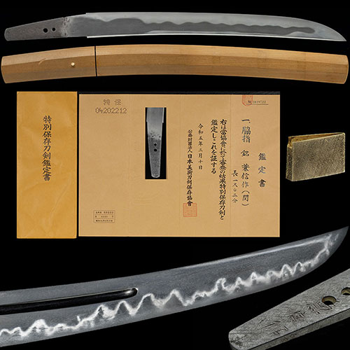 Zensho Kaneshige — 4 of 4
