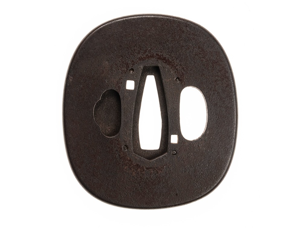 Mito Dragonfly Design Tsuba - Hozon Tosogu — 3 of 18