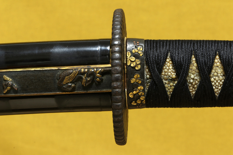 Seki School — 12 of 22