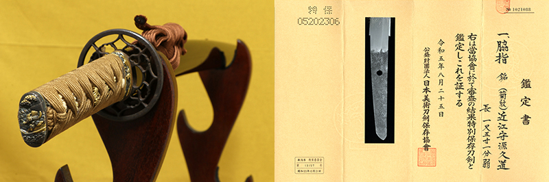 Mishina Hisamichi — 1 of 20
