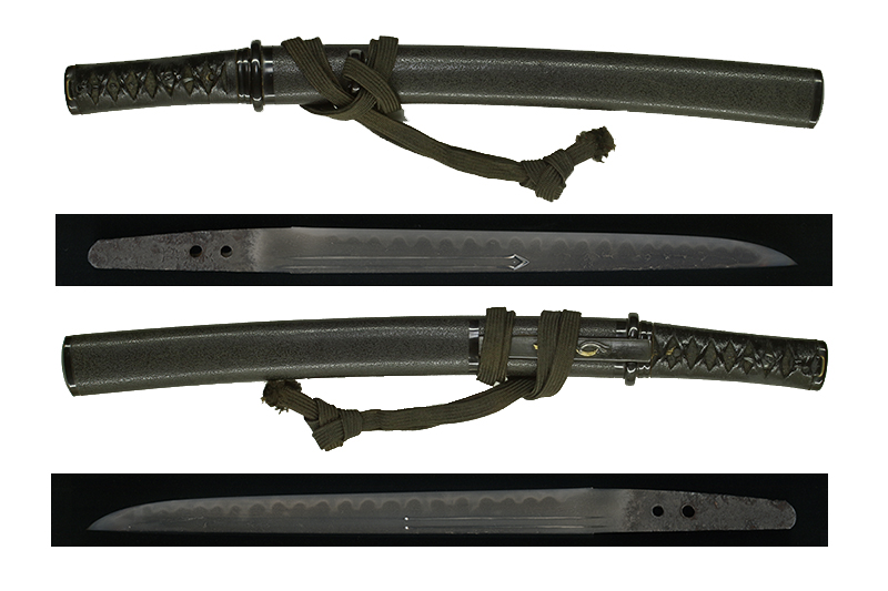 兼植 — 1 of 11