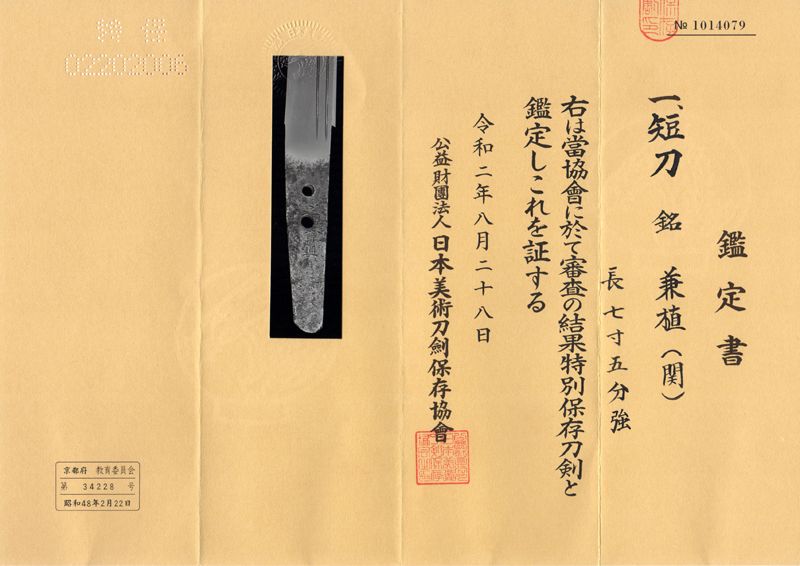 兼植 — 2 of 11