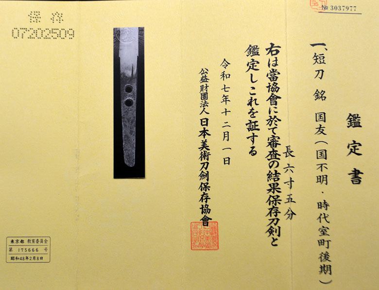 Enju Kunitomo — 11 of 11