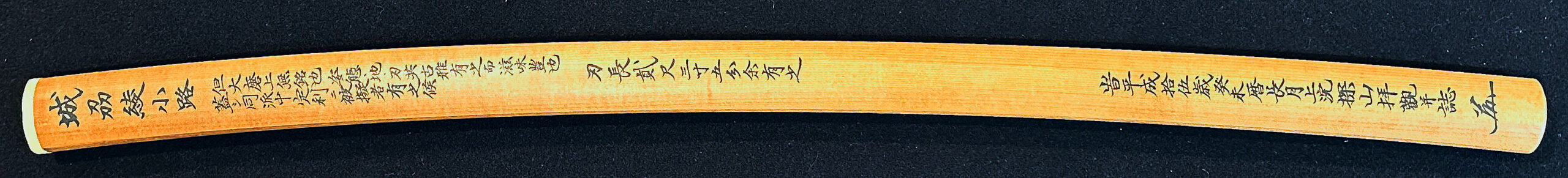 Ayanokoji Sadatoshi — 9 of 10