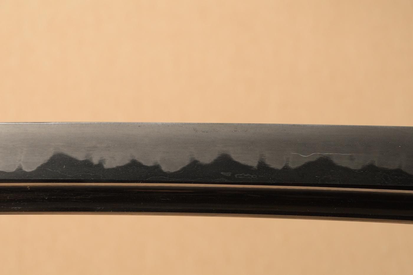 Kobayashi Sadanori — 28 of 51