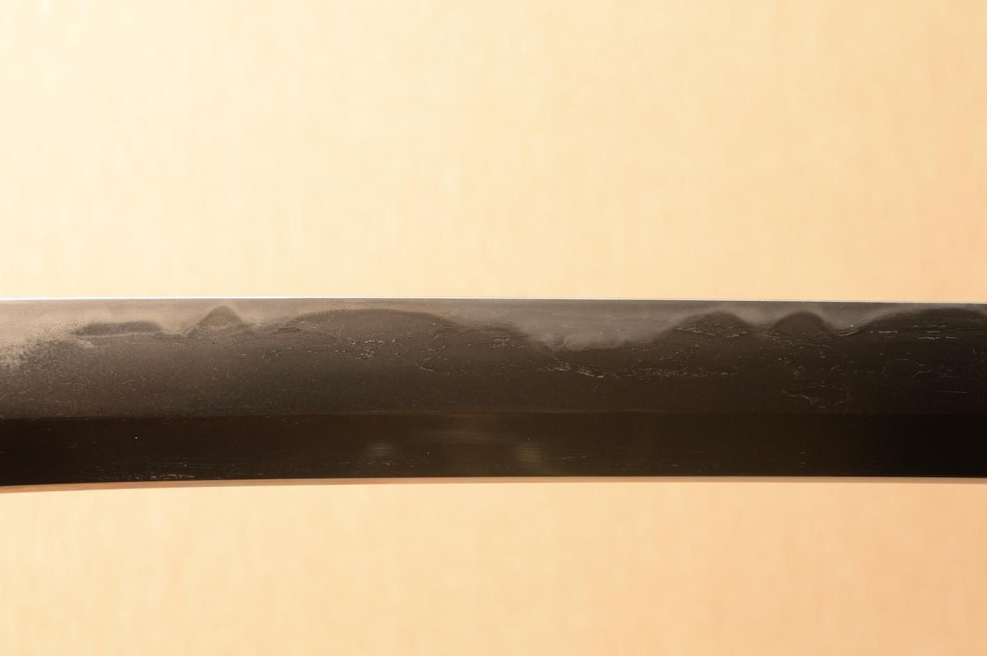 Mino Senjuin School — 11 of 50