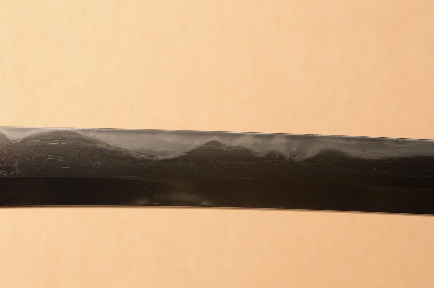 Mino Senjuin School — 12 of 50