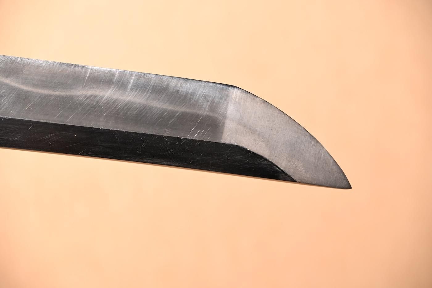 Isshinko Kariya Naohide — 16 of 47