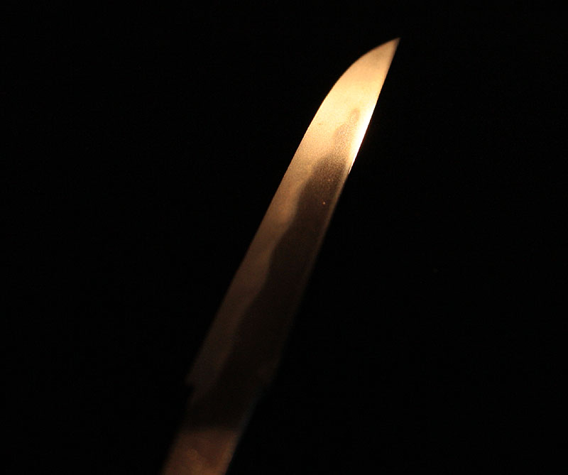 藤安将平 — 11 of 14