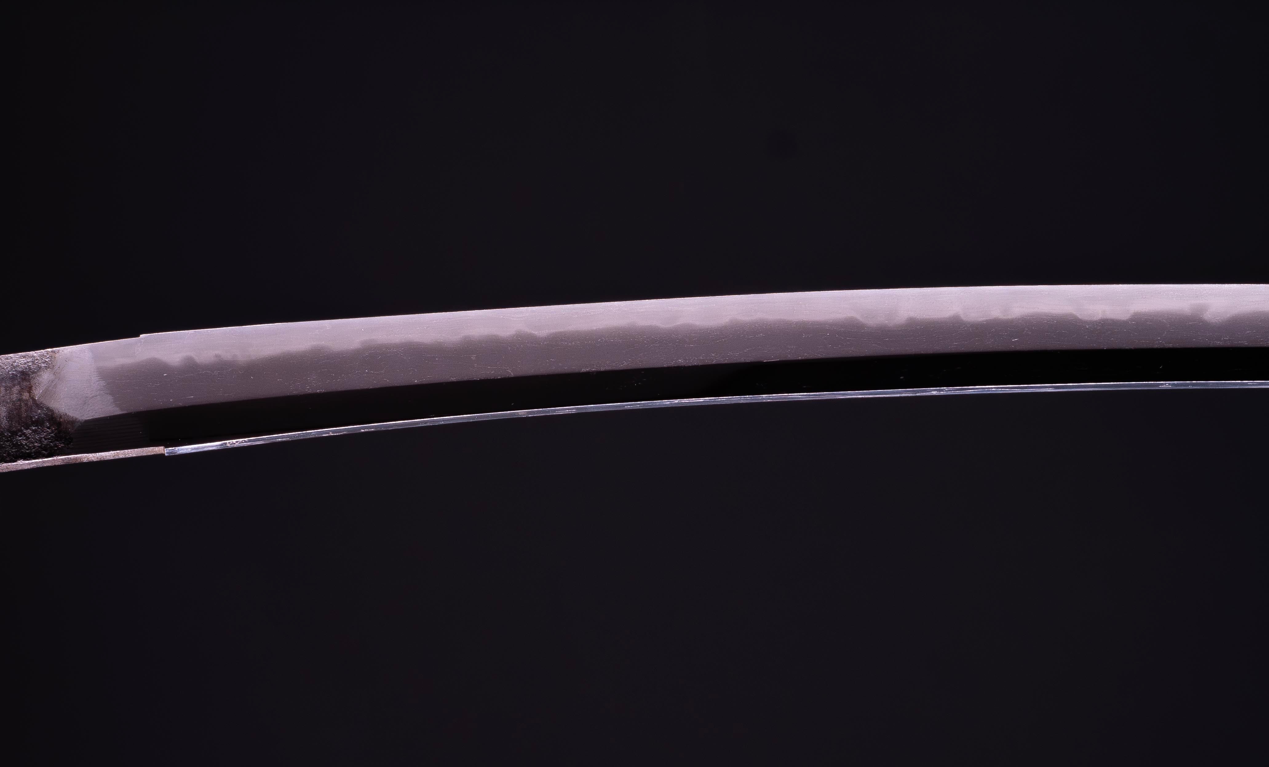 Katana: Koto Katana - Deep Curvature — 12 of 27