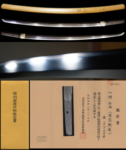 Shikkake Norinaga — 1 of 11