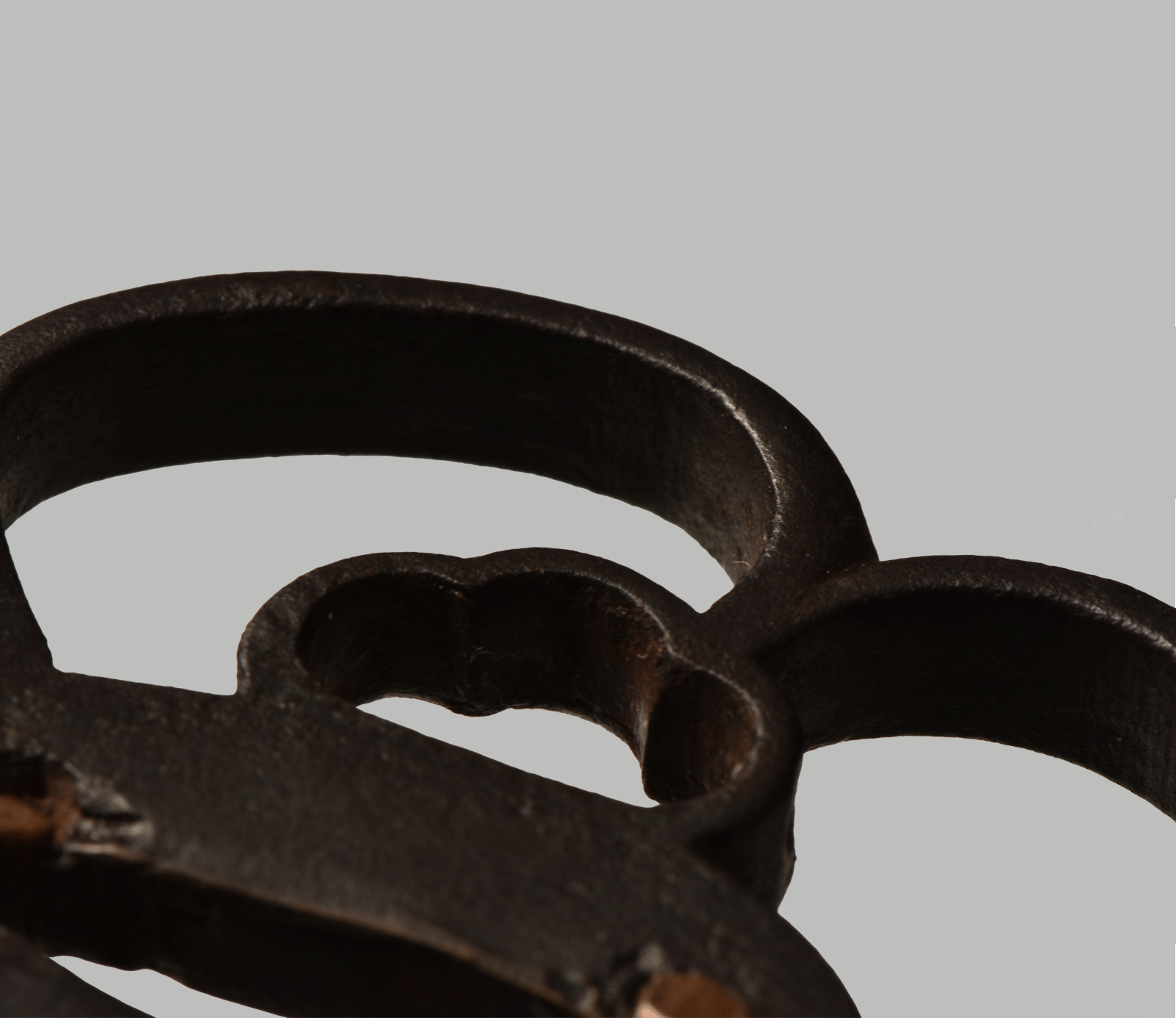 Tsuba: Akasaka 1st Generation Kanzan Sato — 6 of 13