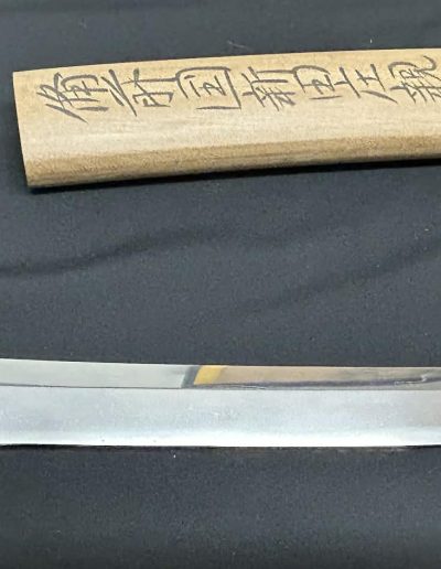 Nitta-sho Chikayori — 13 of 14