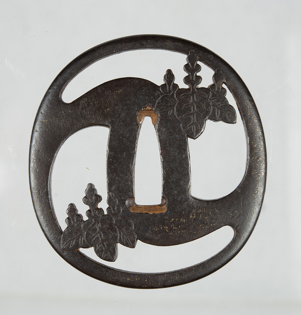 Nishigaki School — 1 of 2