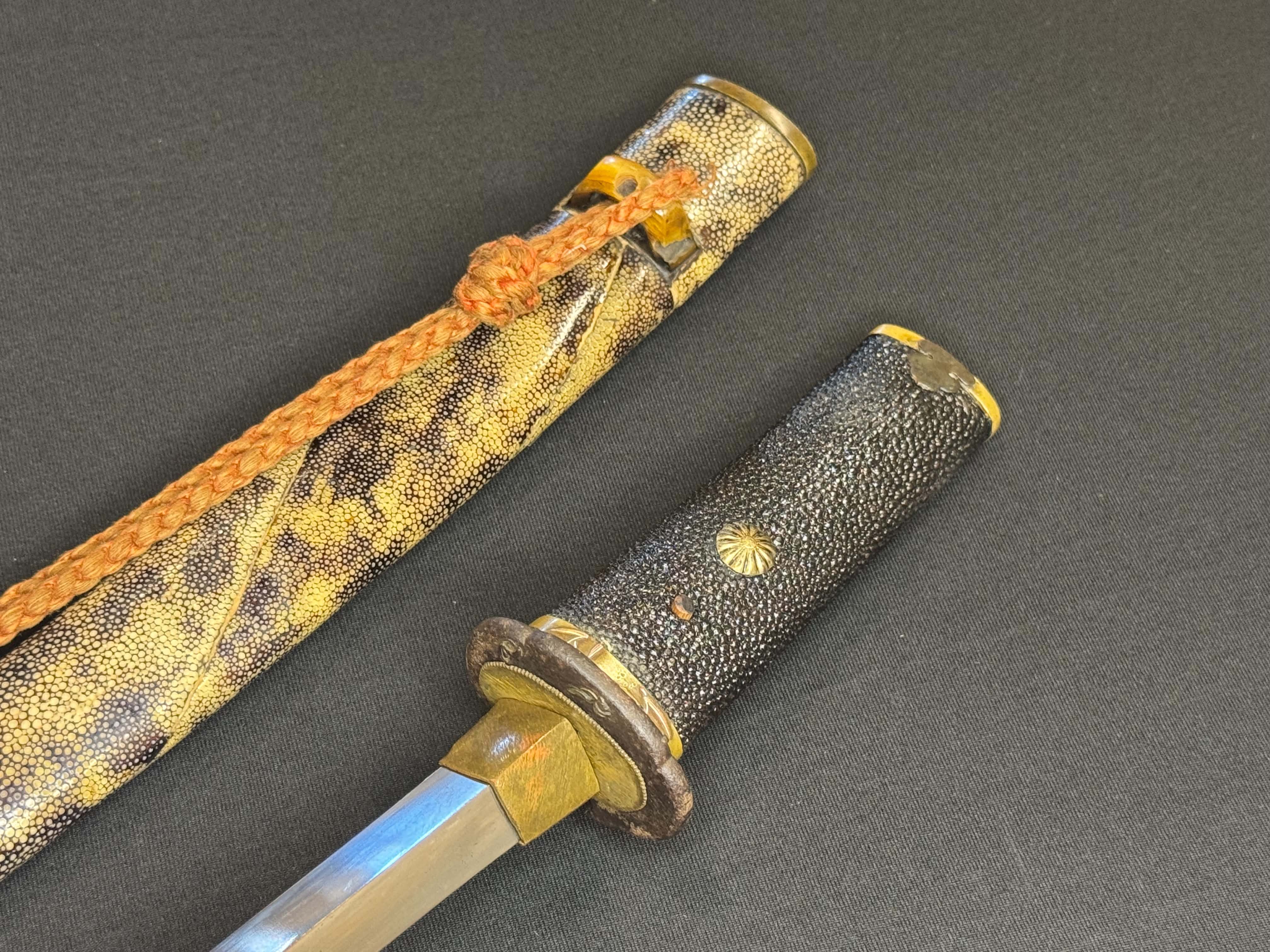 Antique Nihonto - Yari in Tanto Koshirae — 13 of 29