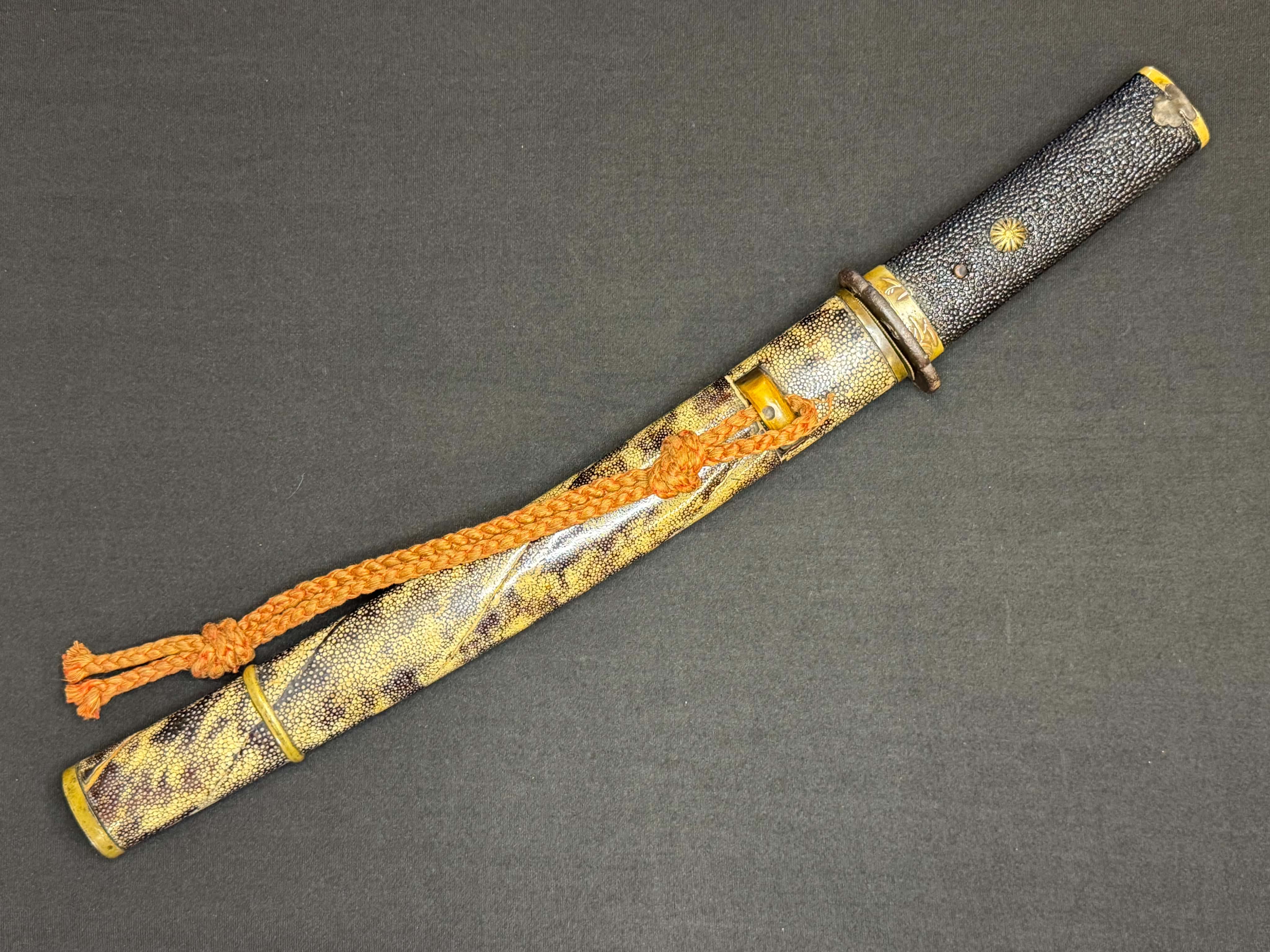 Antique Nihonto - Yari in Tanto Koshirae — 21 of 29