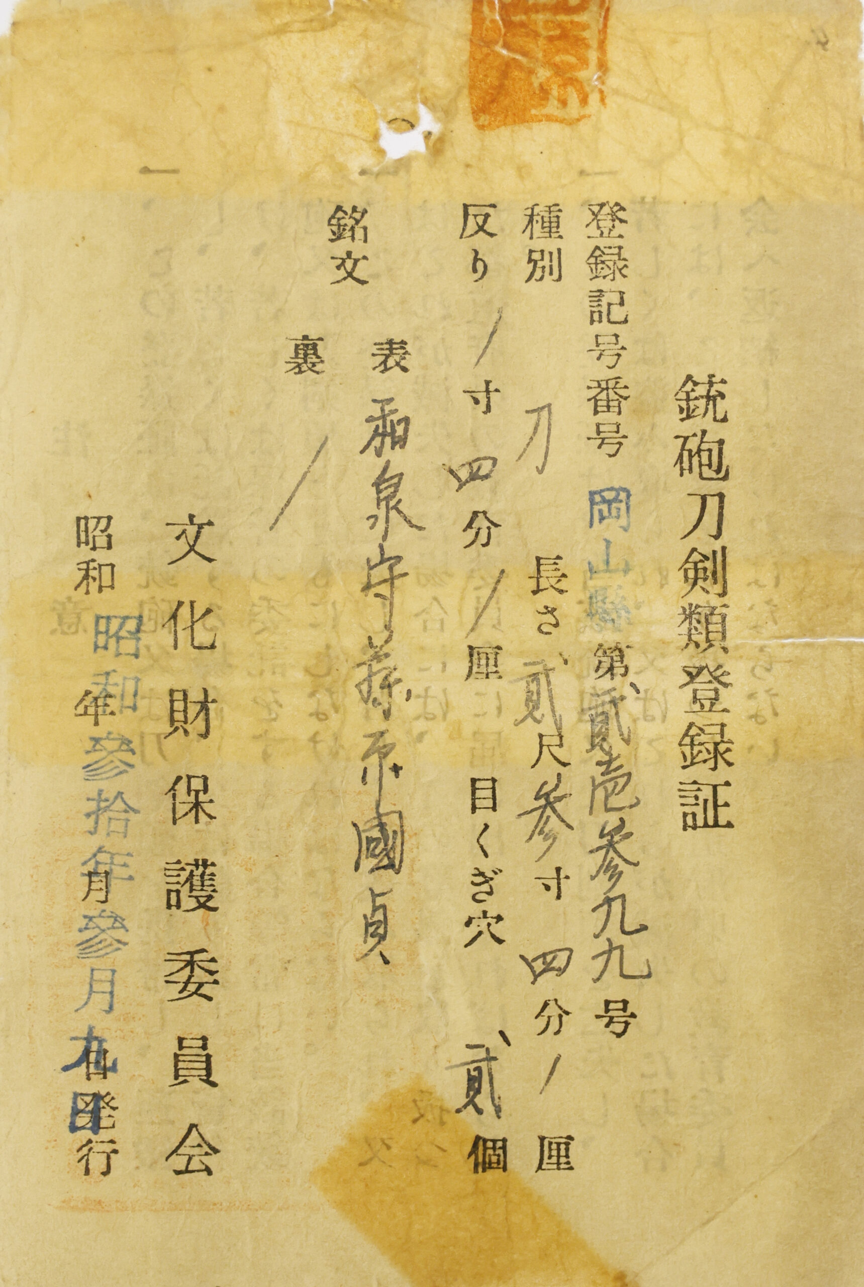 Osaka Shinkai — 25 of 25