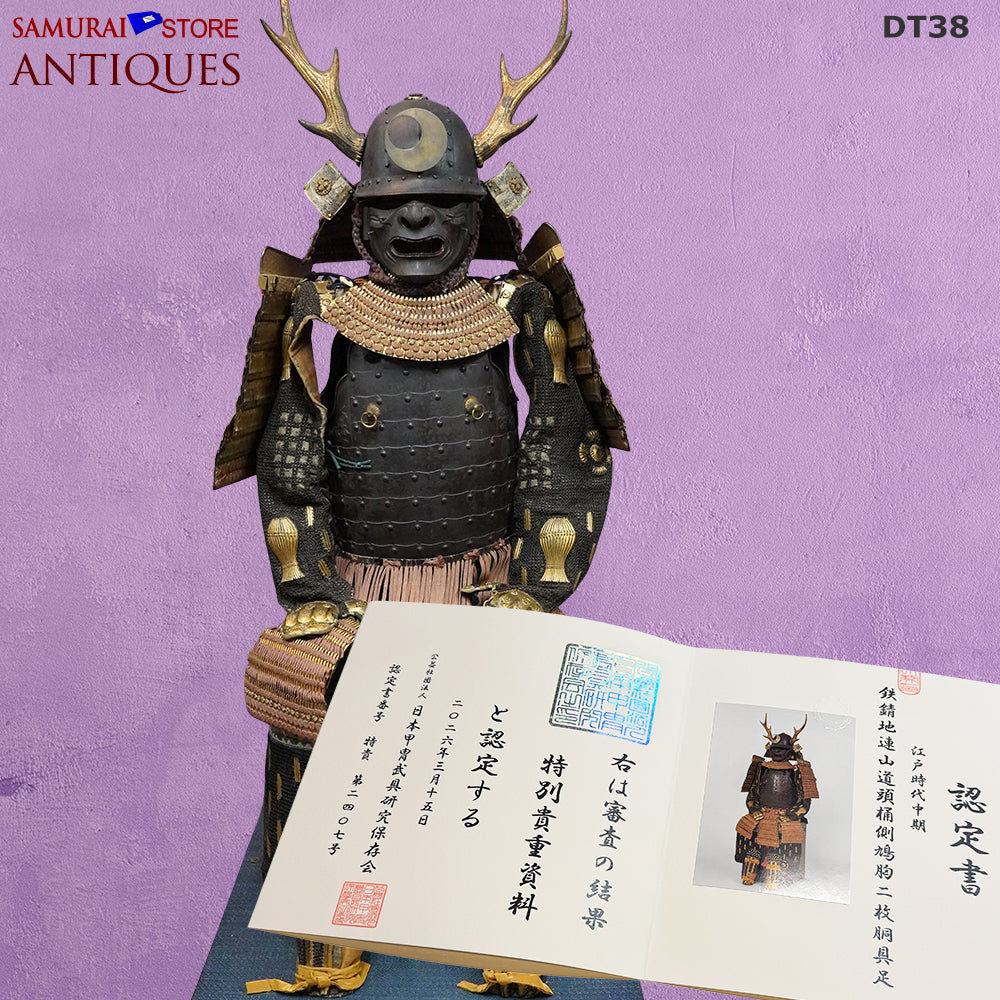 Antique Armor: Mid-Edo Period Suit with Tokubetsu Kicho Shiryo Certificate — 7 of 7