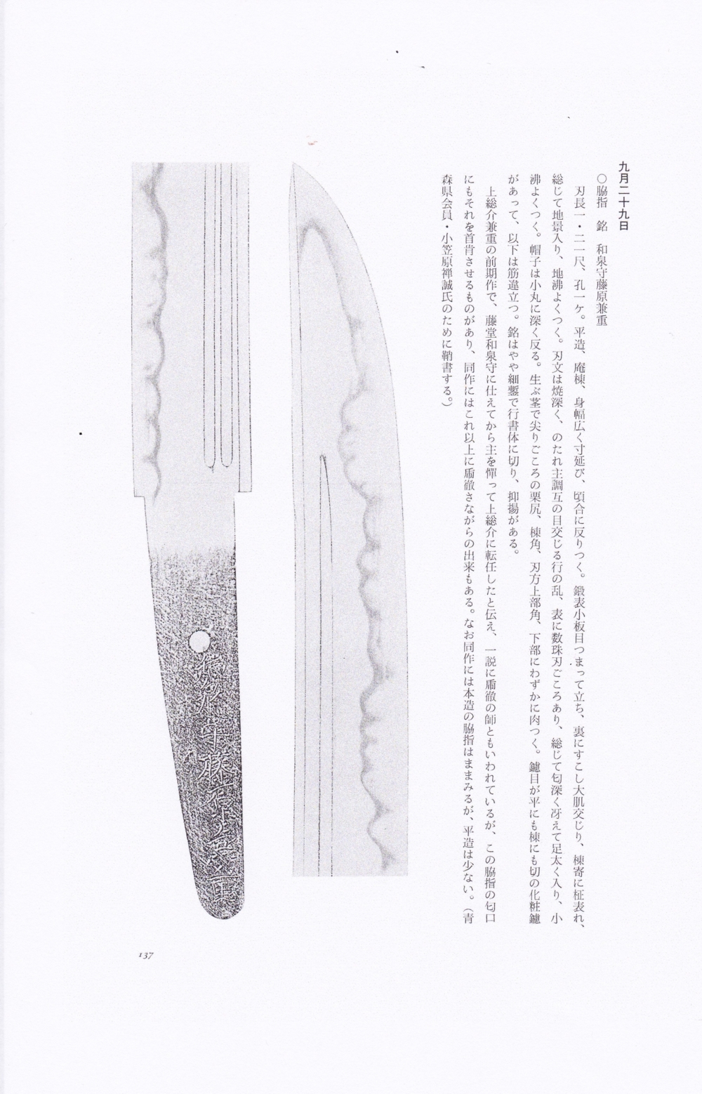 Edo Kaneshige — 11 of 11