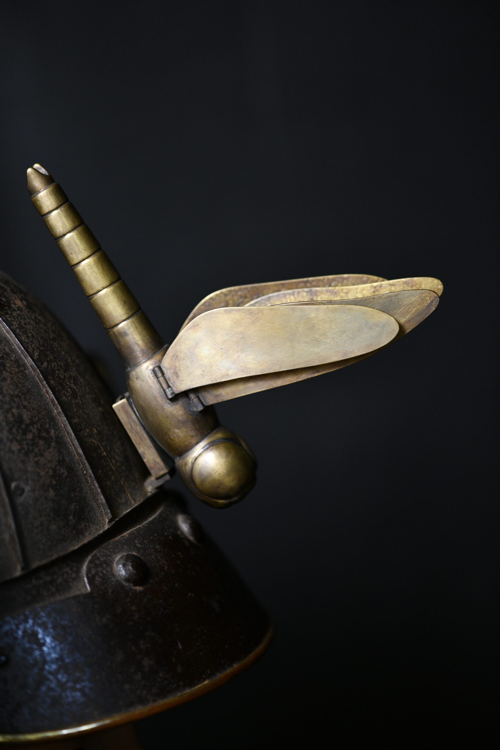 Tombo Kabuto — 3 of 10