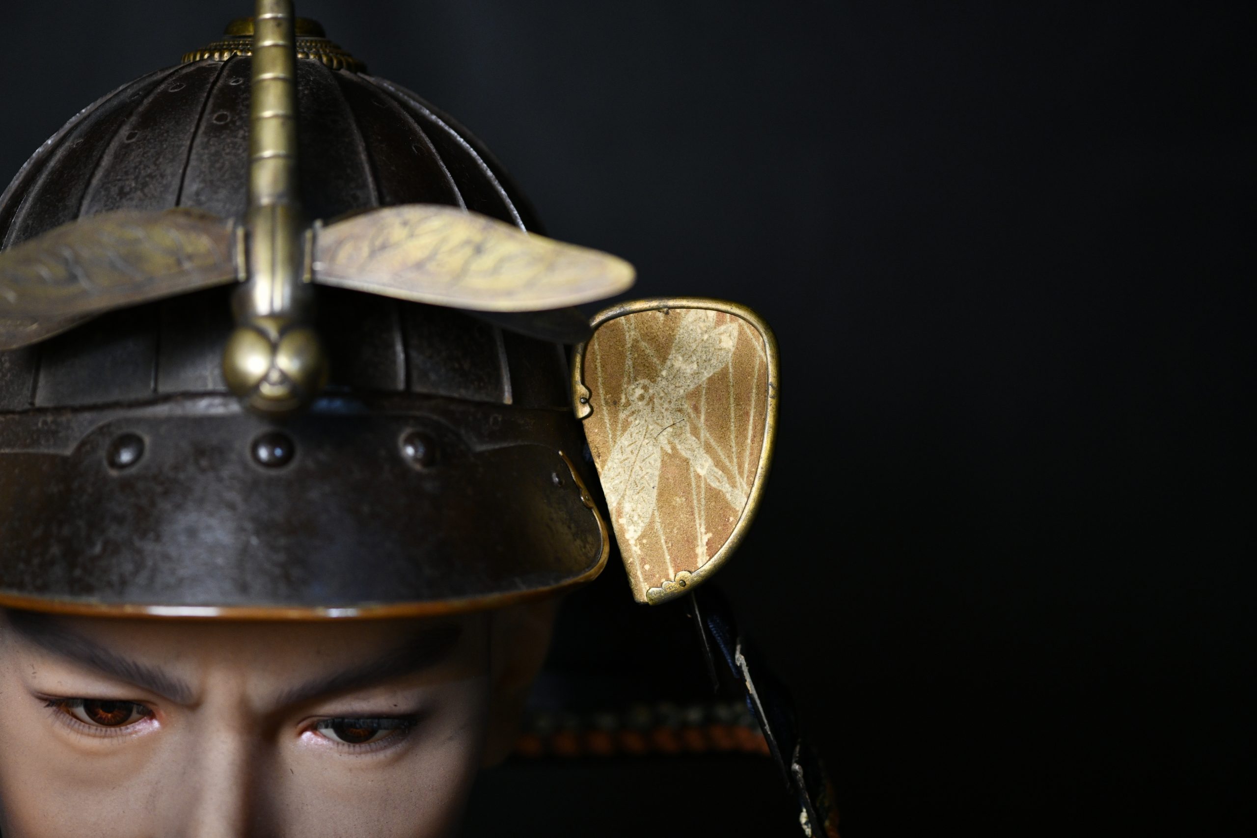 Tombo Kabuto — 8 of 10
