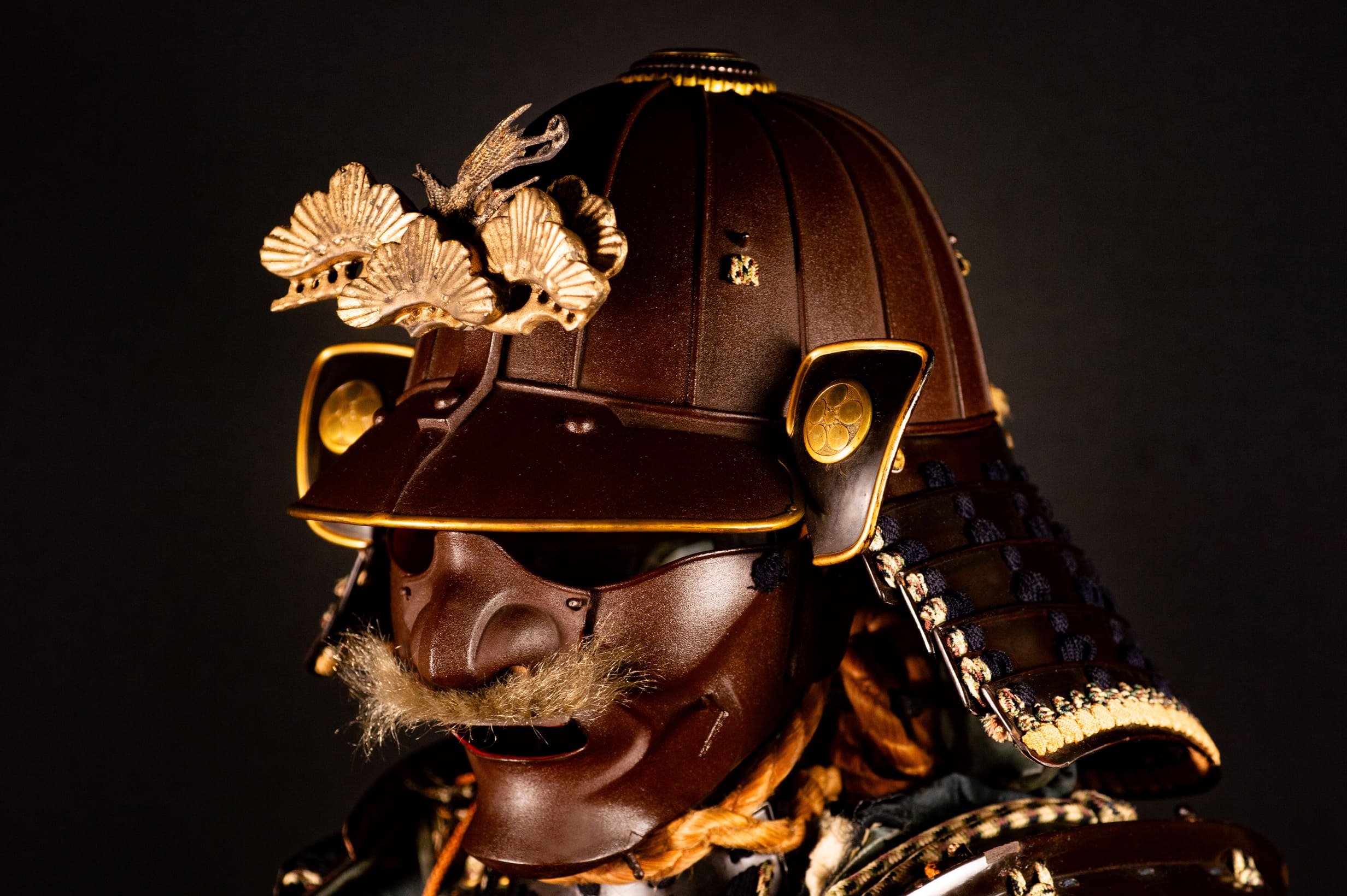 A fine Japanese armour (Tōsei Gusoku) — 20 of 25