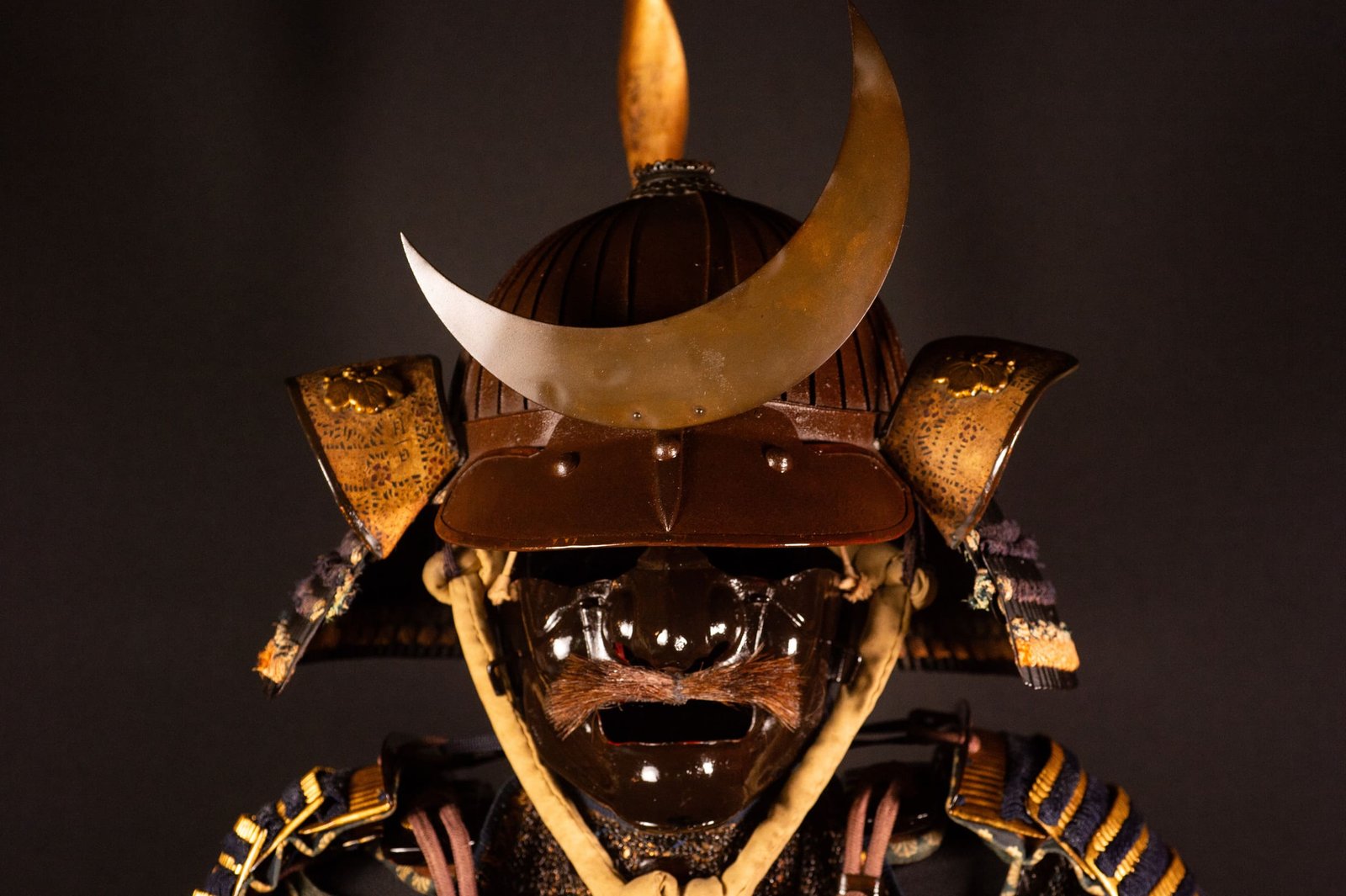 Samurai Armor (Gusoku) with Crescent-Moon Maedate and Tokugawa Mon - Edo Period — 10 of 32
