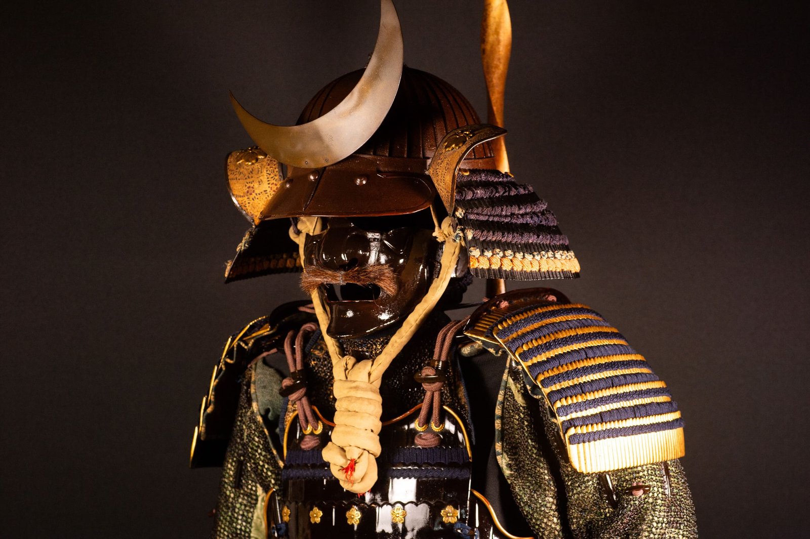 Samurai Armor (Gusoku) with Crescent-Moon Maedate and Tokugawa Mon - Edo Period — 18 of 32