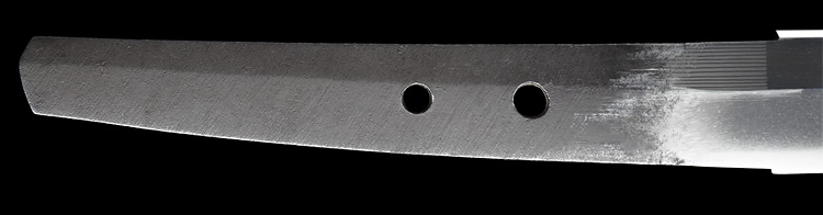 Hizen Tadakuni — 7 of 9