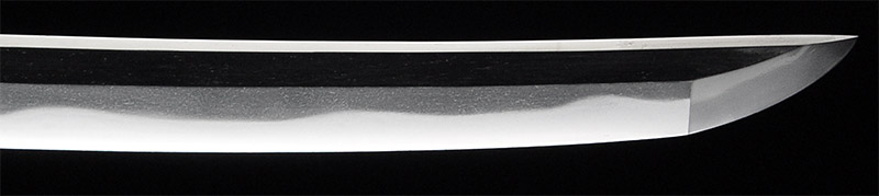 Tadayoshi Tosa no Kami Tadayoshi — 9 of 15
