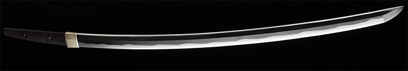 Tadayoshi Tosa no Kami Tadayoshi — 14 of 15