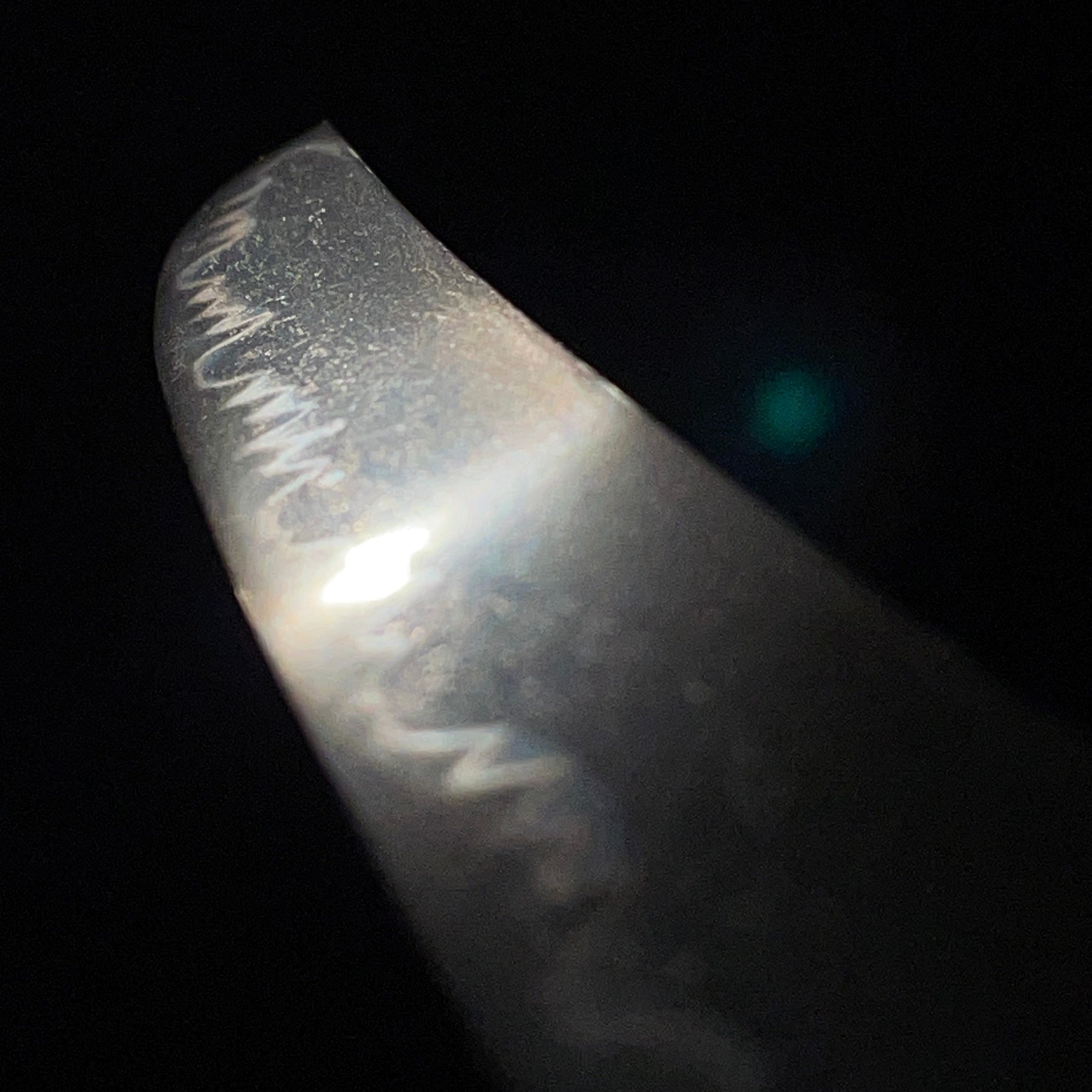 Seki Ujifusa — 10 of 24
