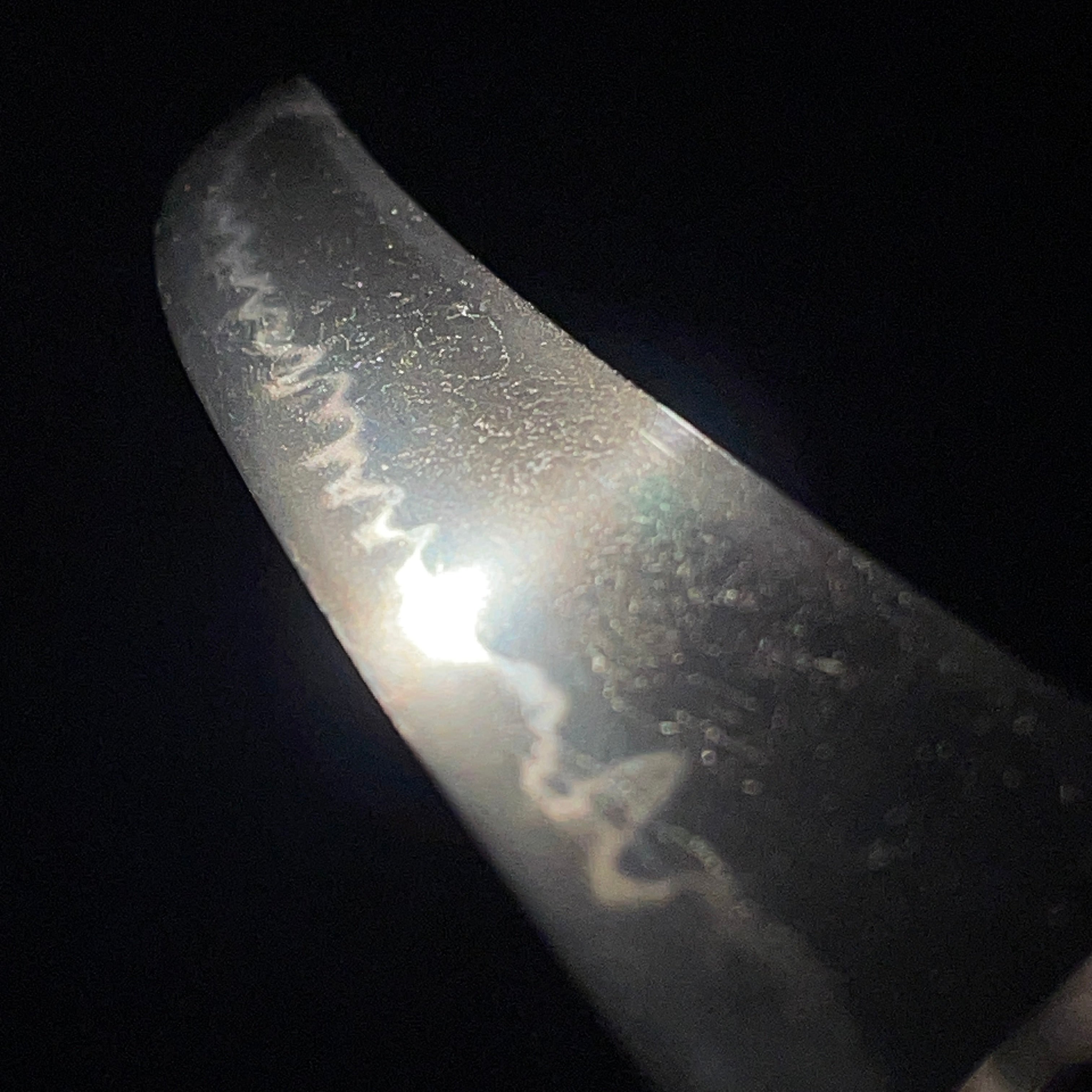 Seki Ujifusa — 4 of 24