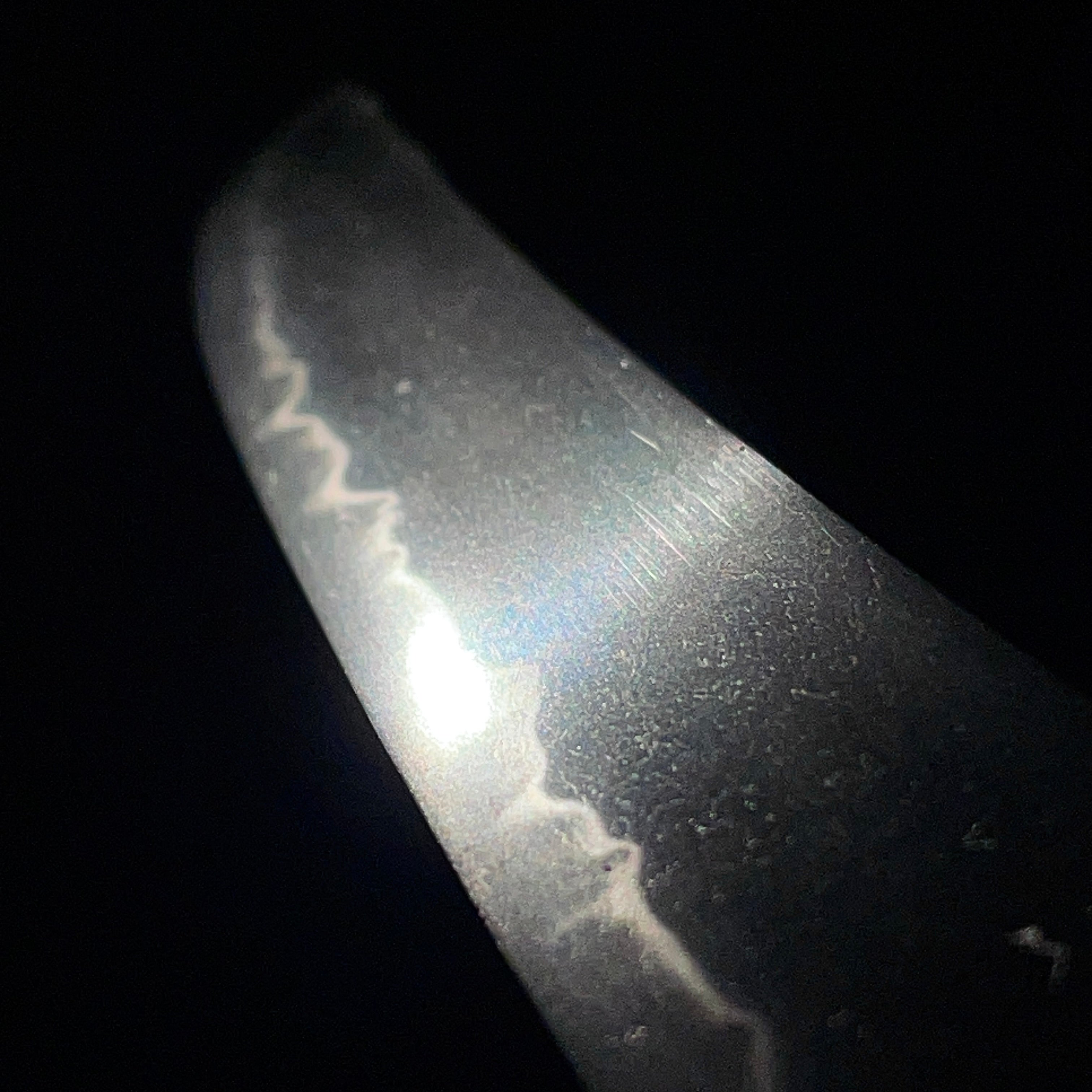 Zensho Kaneyoshi — 5 of 20