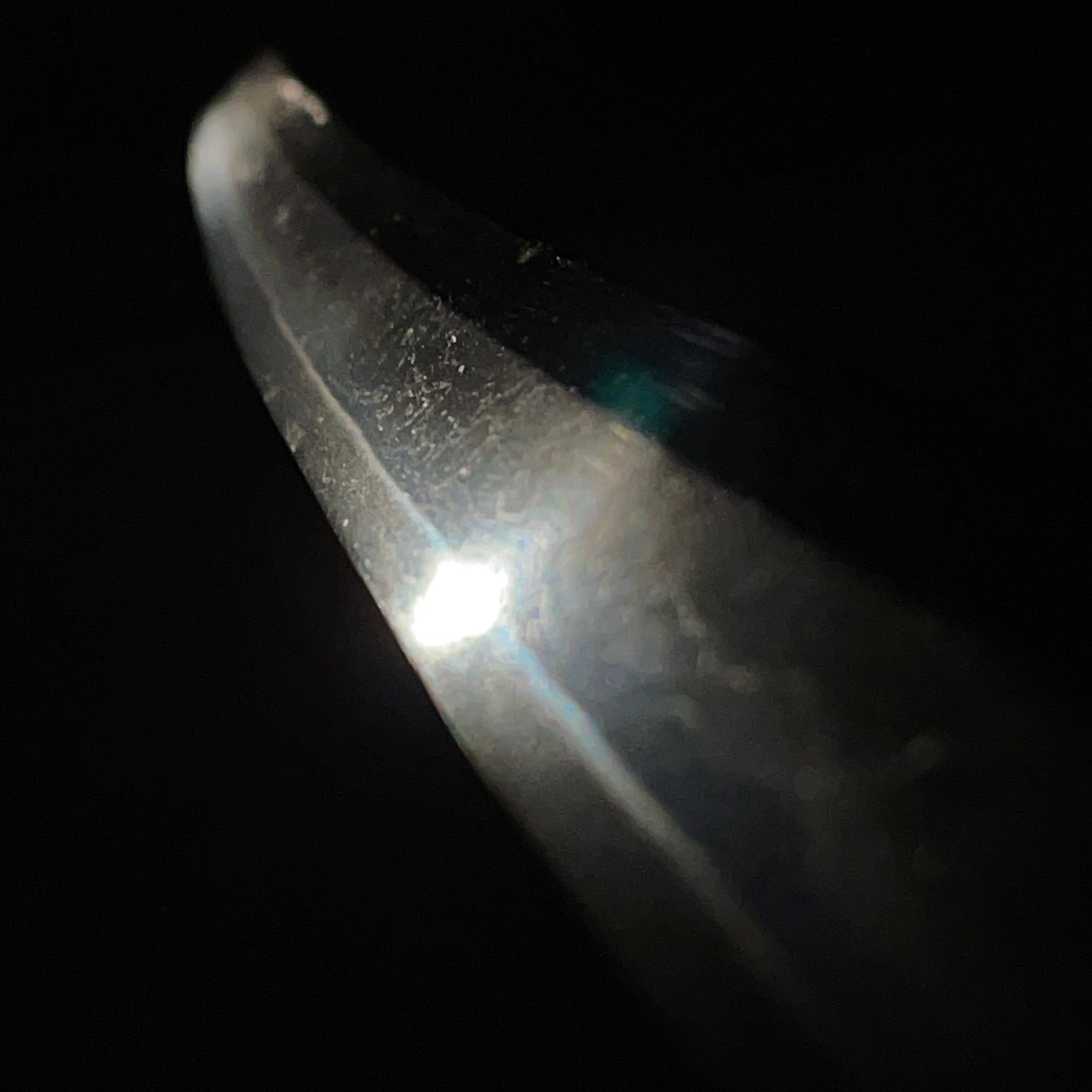 壽命 — 3 of 13