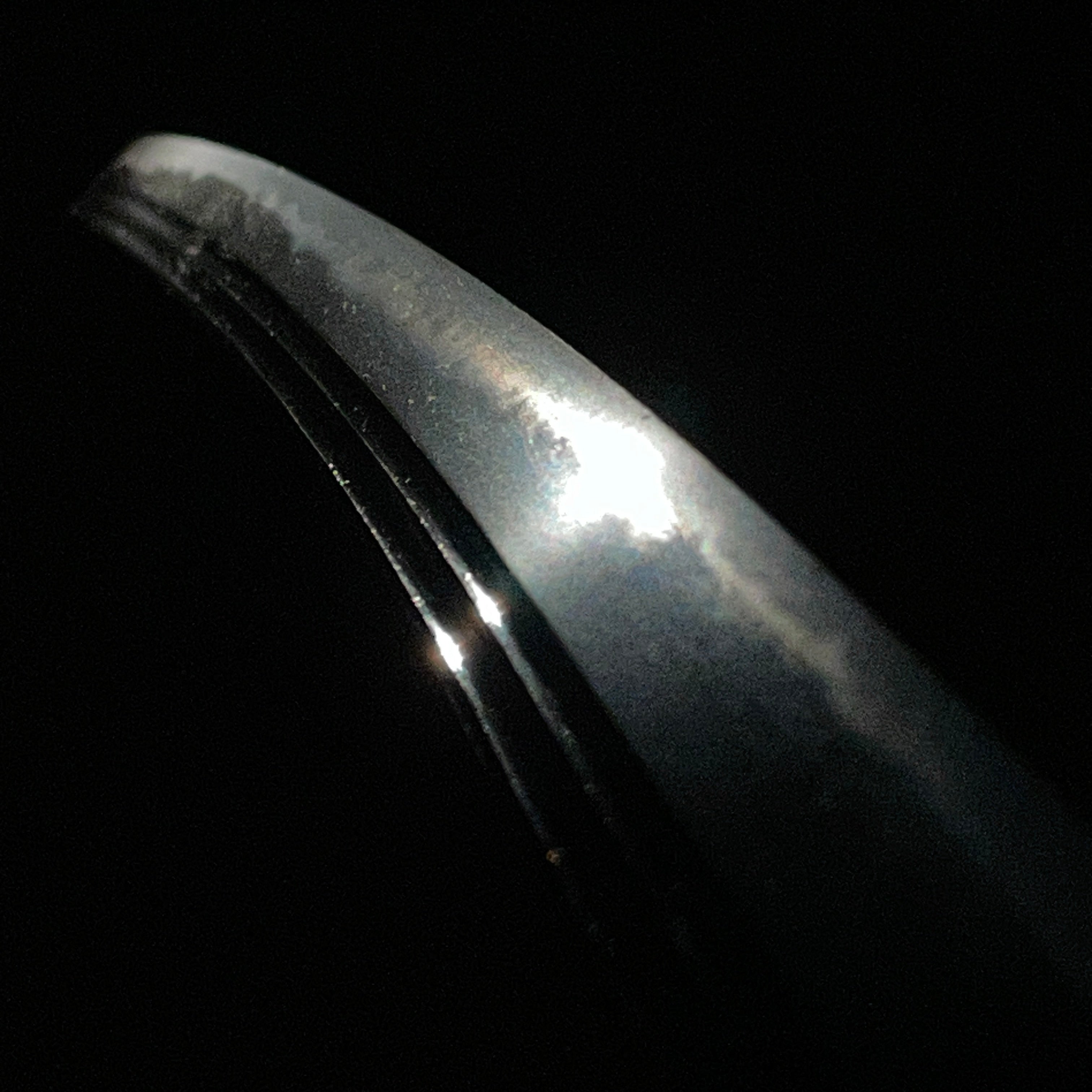 Tadayoshi Munetsugu — 6 of 15
