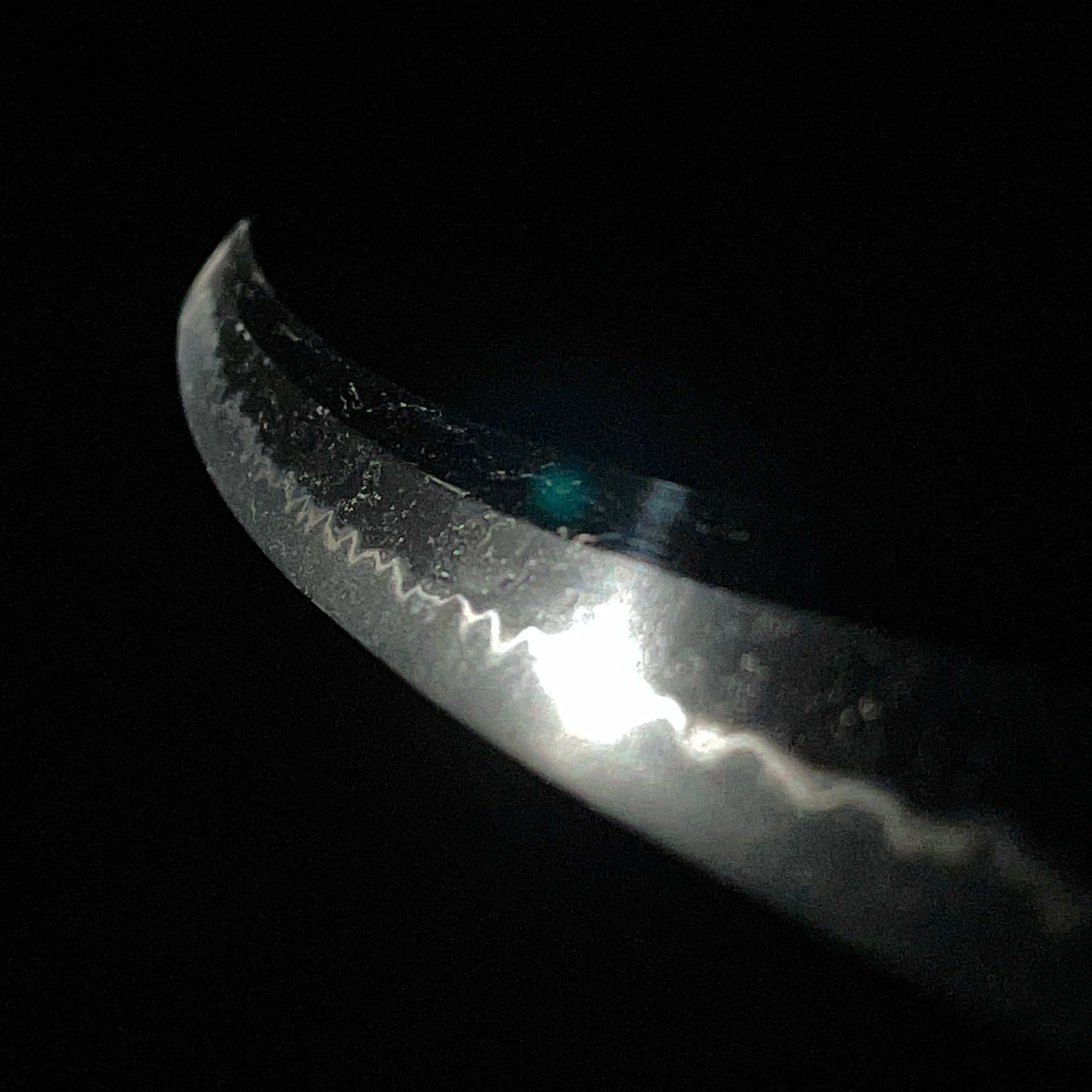 Hoki Yasutsuna — 5 of 23