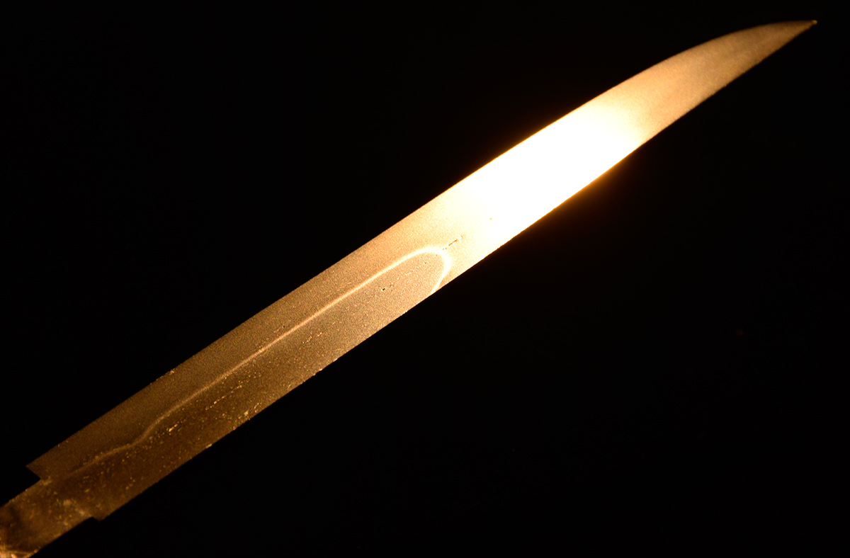 Izu no Kami Sadahiro — 8 of 11