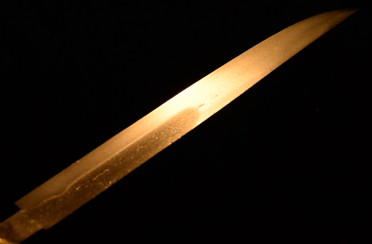 Izu no Kami Sadahiro — 10 of 11