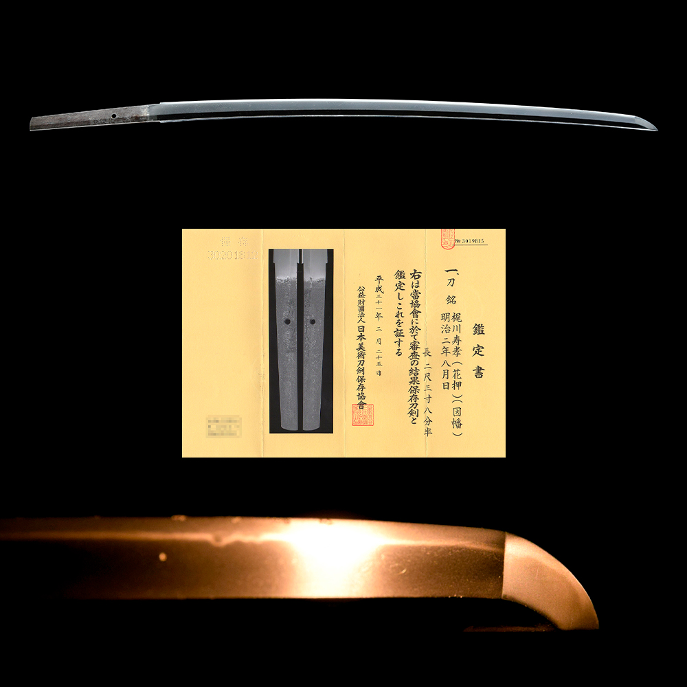 Waki-Goto Toshitaka — 9 of 9