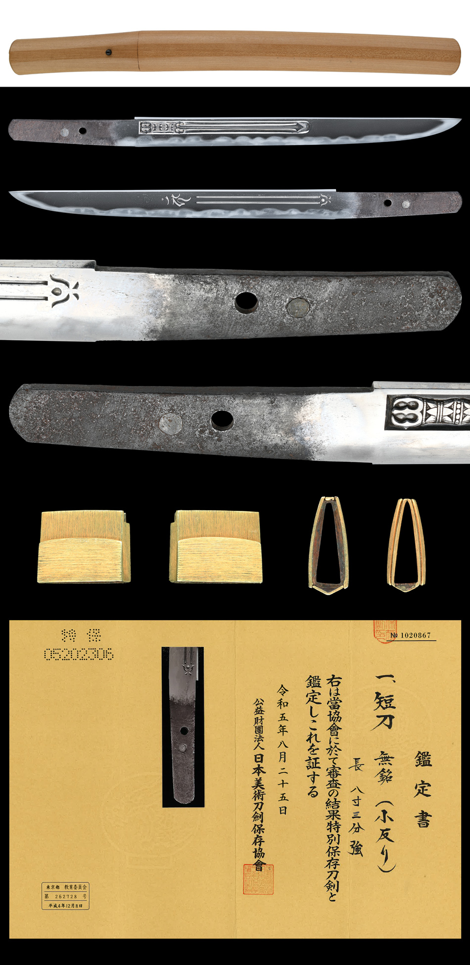 古曽利派 — 6 of 6