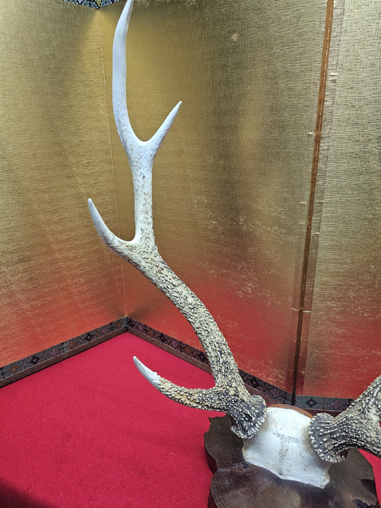 Deer Antler Sword Stand — 3 of 7