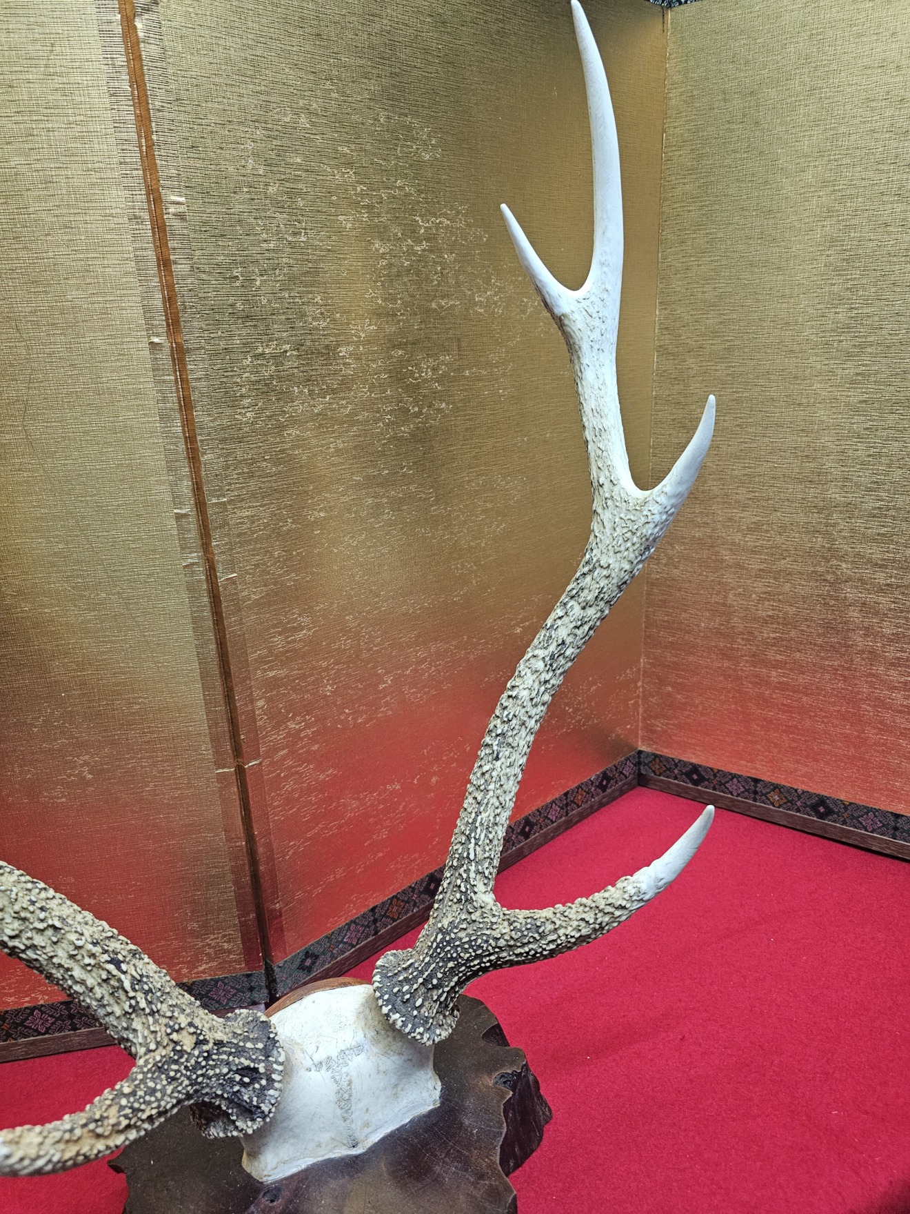 Deer Antler Sword Stand — 4 of 7