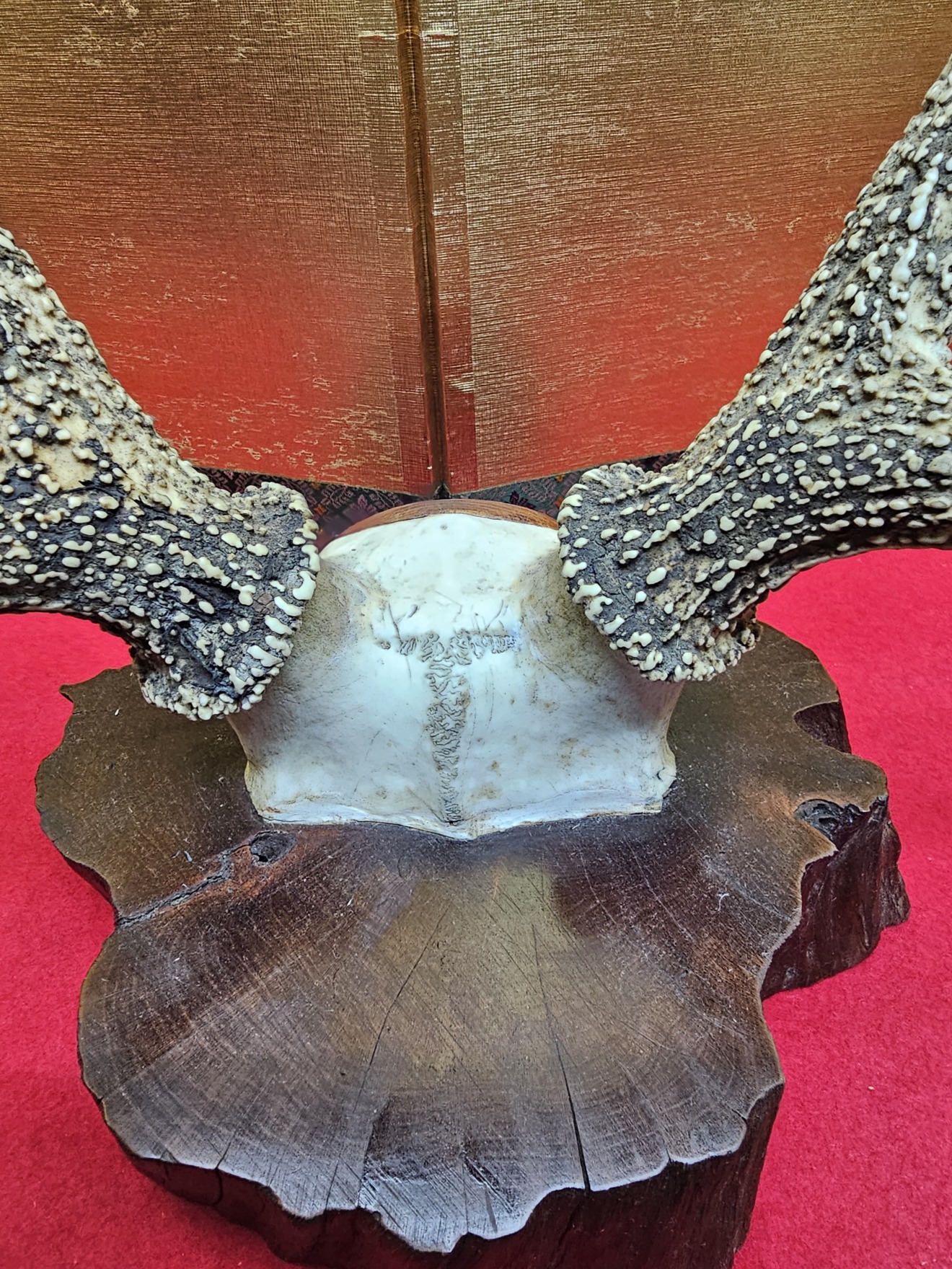 Deer Antler Sword Stand — 5 of 7