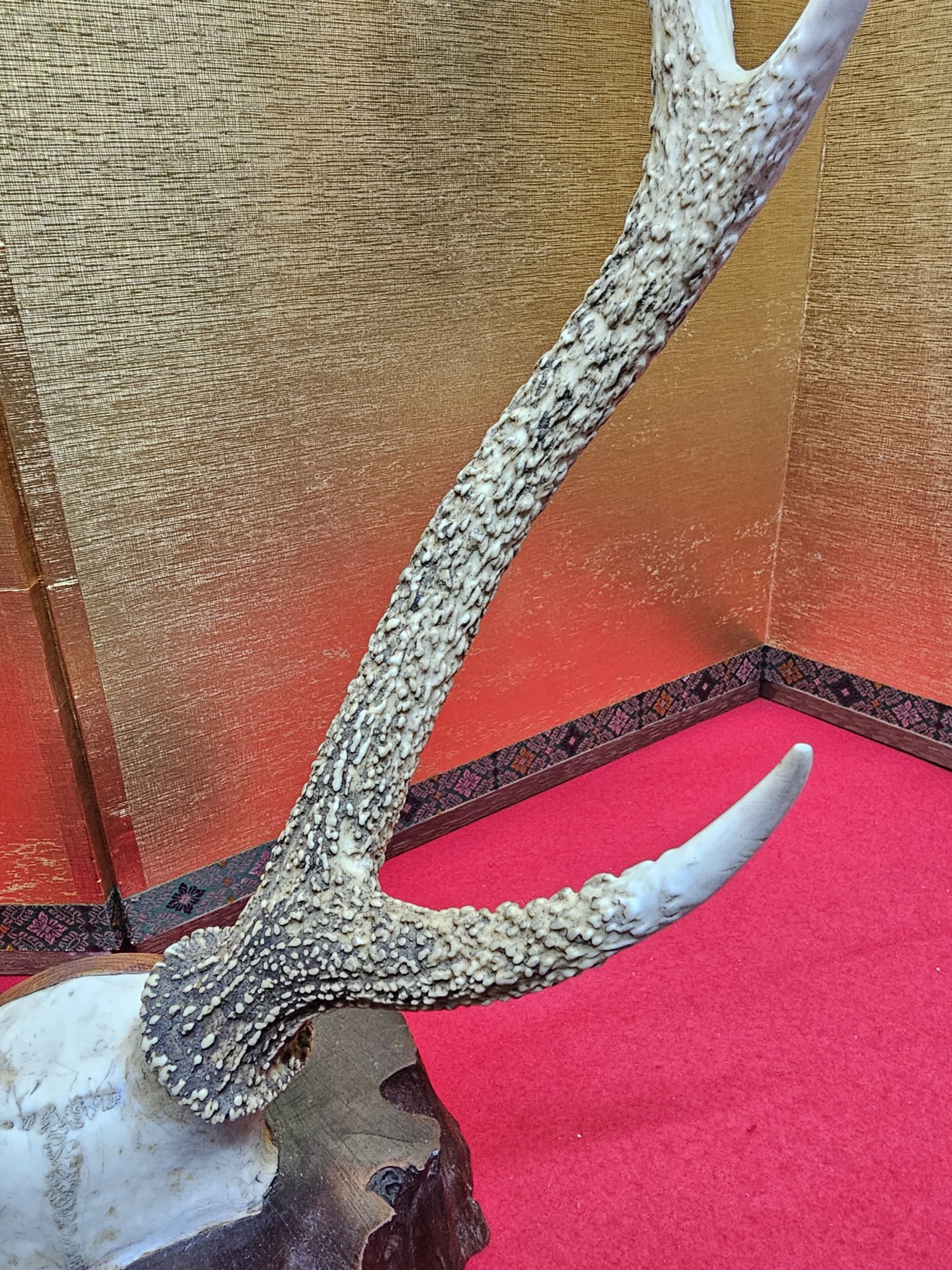 Deer Antler Sword Stand — 6 of 7