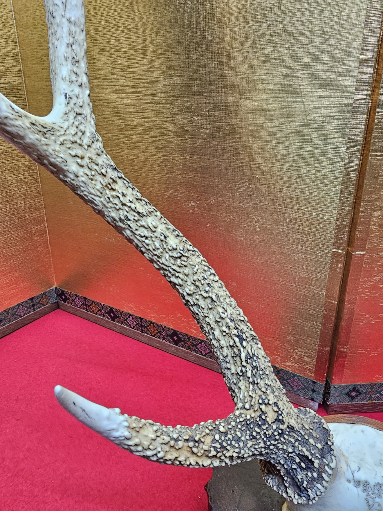 Deer Antler Sword Stand — 7 of 7