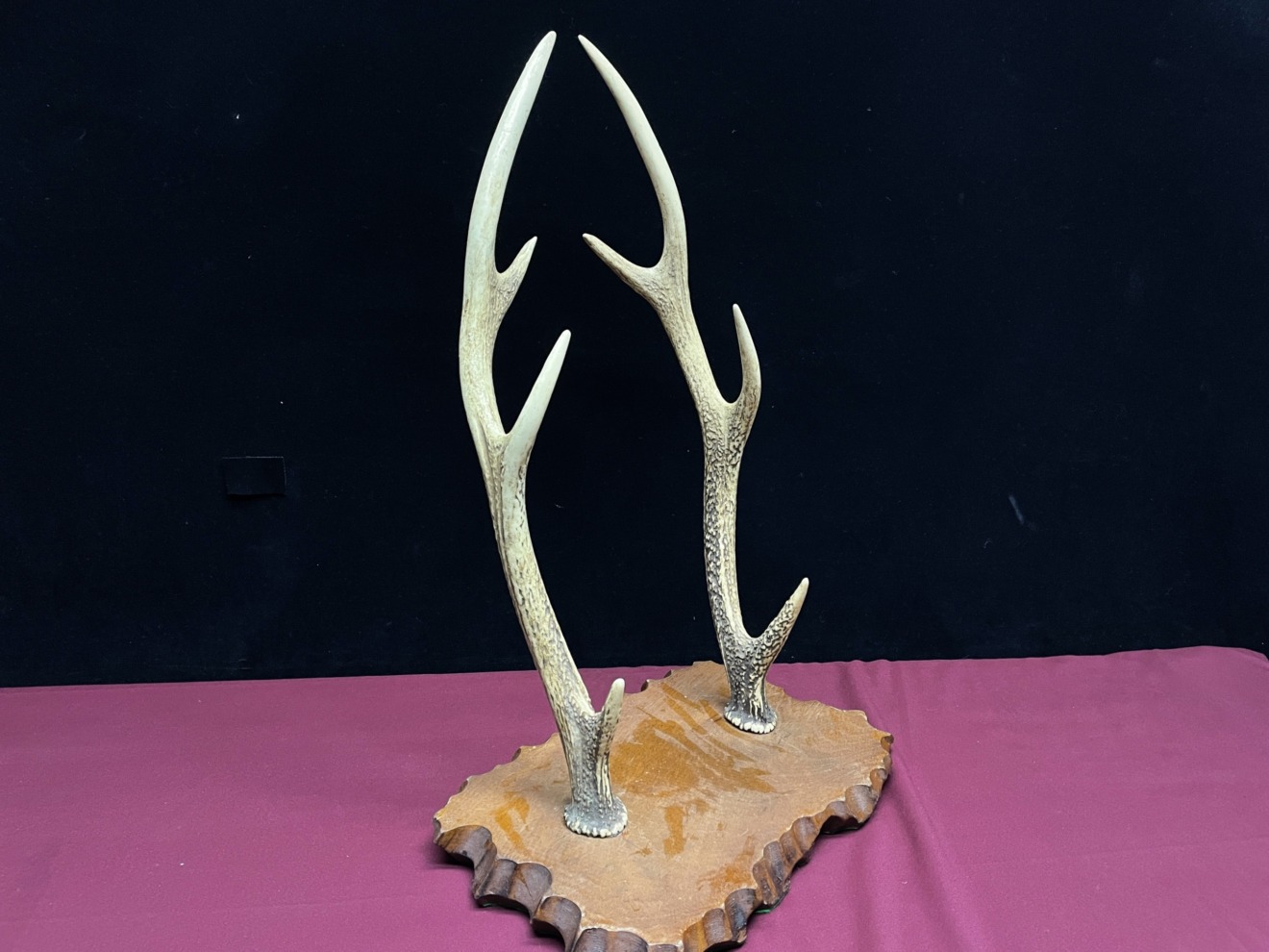 Deer Antler Tanto Kake — 3 of 5