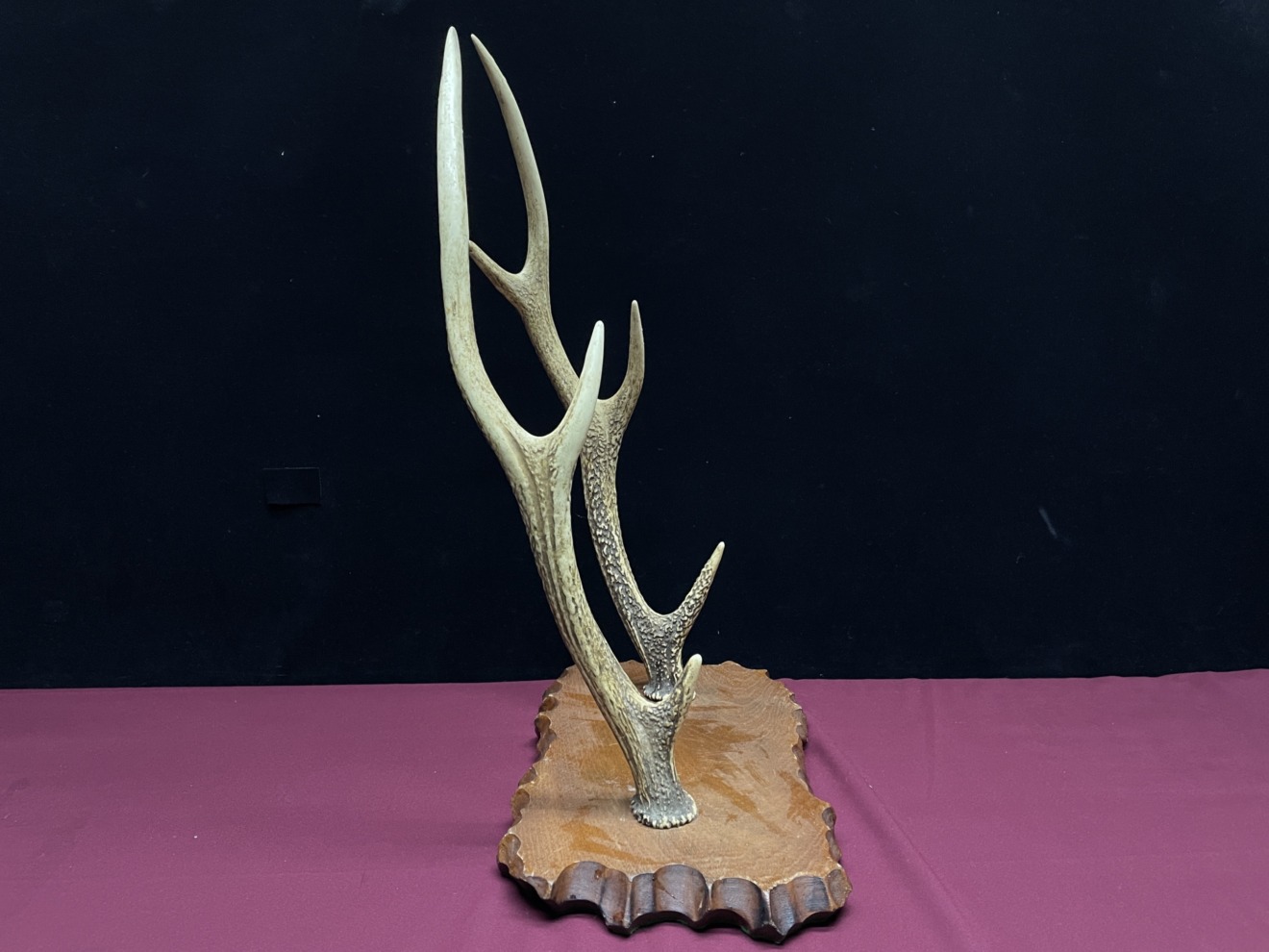 Deer Antler Tanto Kake — 4 of 5