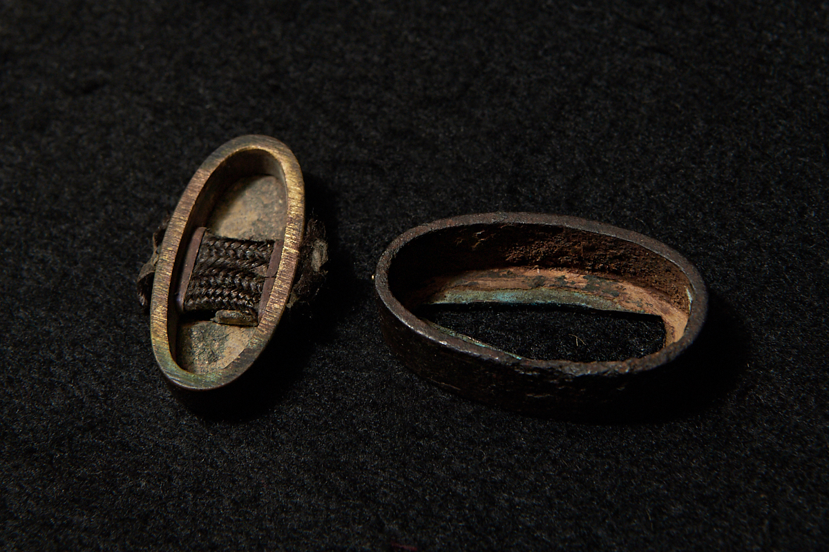 Fuchi-Kashira: Mumei - Chrysanthemum and Wild Grass — 3 of 4